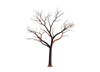Obraz premium Bare tree on a transparent background. Illustration of a tree in winter without leaves.