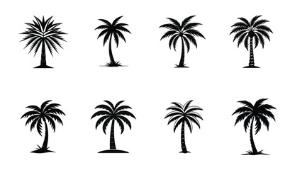 set of palm trees on a white background