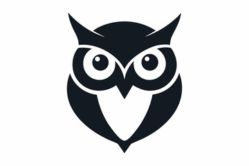 owl on white background