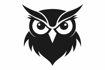 owl on white background