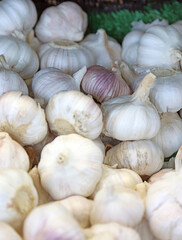 Closeup of a tray of Garlic bulbs, Derbyshire England

