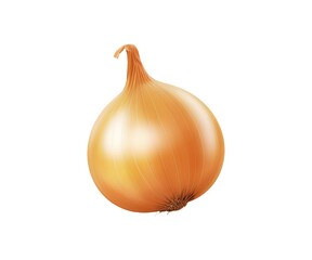 Fresh Onion Isolated on White Background