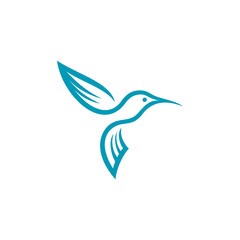Colibri Hummingbird Logo design vector illustration isolated on white background