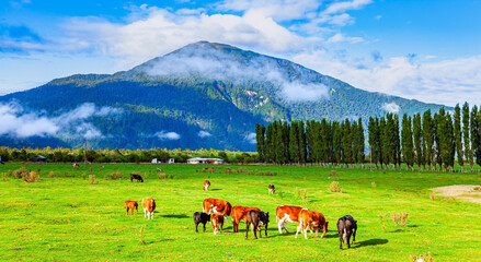Travel to Chile