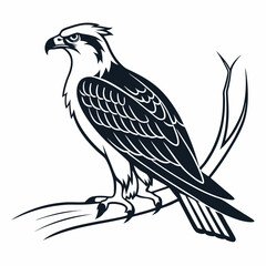 osprey black silhouette icon vector