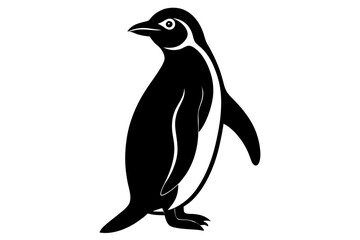 penguin on a white background