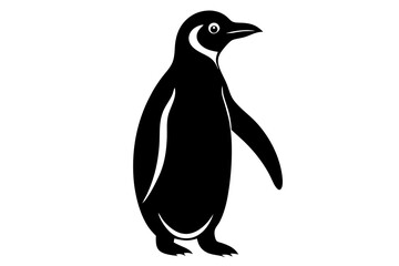 penguin on a white background