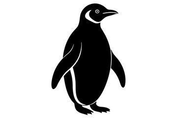 penguin on a white background