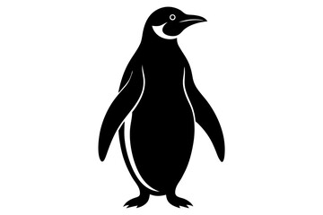 penguin on a white background