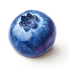 blueberries isolated on white background