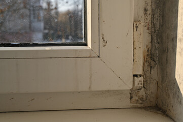 fungal mold on the window in the apartment.