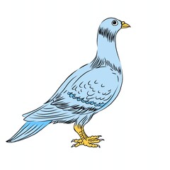 dove illustration in cartoon style vector