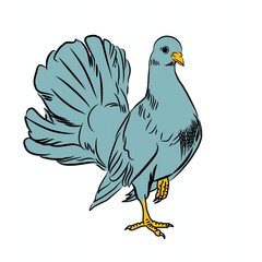 dove illustration in cartoon style vector