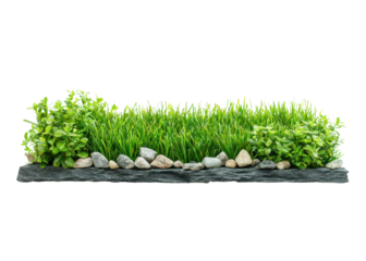 Green grass and bushes with rocks on a slate base, isolated on white. Perfect for adding a touch of nature to your designs.