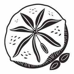 sand dollar black silhouette icon vector