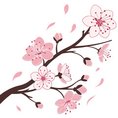 pink cherry blossom