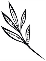 Wild Flower silhouette Vector Image Isolated On White Background