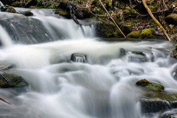 Fototapeta premium small waterfall in the forest