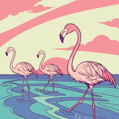 pink flamingos in water