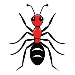 vector illustration of a red ant.