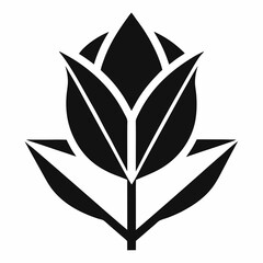 black and white flower