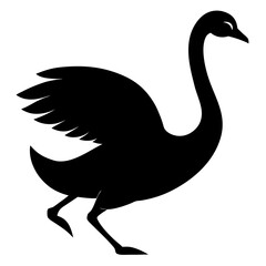 illustration of a black and white swan