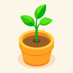 young plant in pot