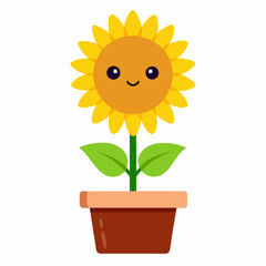 Obraz premium sunflower in a pot