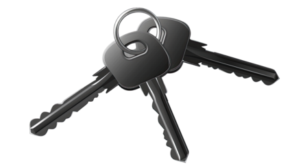Keys to Success: A set of shiny keys arranged, conveying security, access, and the promise of unlocking possibilities.