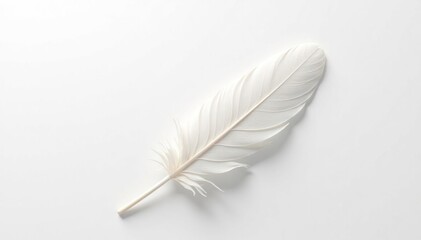 Delicate white feathers against stark white backdrop, fluffy, subtle, light