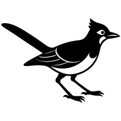 silhouette of a bird