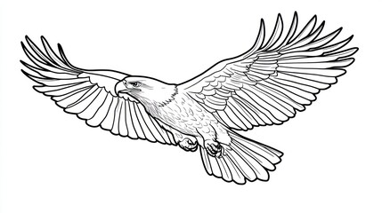 Obraz premium Black and white illustration of a majestic eagle in flight. Possible use Educational material, graphic design, or stock photography