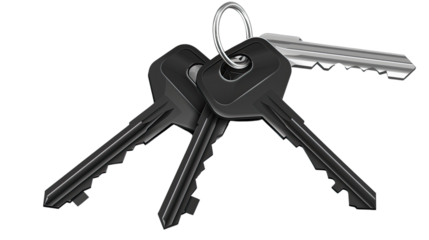 Set of Secure Keys: A cluster of three sleek, dark-colored keys, along with a single silver key, strung together by a simple metallic ring, representing access, security.