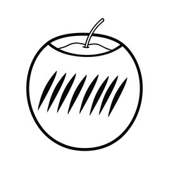 illustration of apple