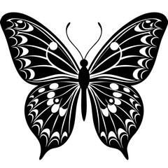 butterfly vector illustration