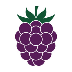 vector illustration of a raspberry