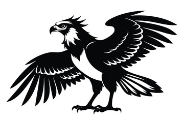 Striking Black And White Eagle Spreading Wings on White Background