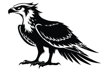Detailed Osprey Bird with Sharp Eyes and Feathers in Black and White Design