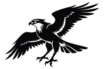 Black Eagle with Spread Wings 