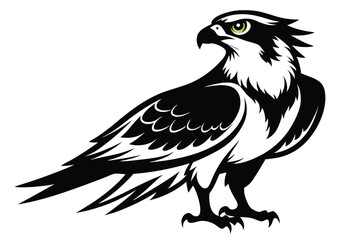 Striking Black and White Osprey with Green Eyes on White Background Design