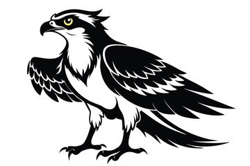 Bold Osprey Design, Black and White Bird Illustration, Isolated on White
