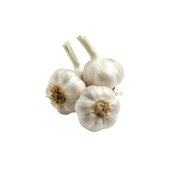 Three Bulbs of Fresh Garlic Isolated on Transparent background