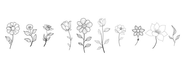 flower and leaves botanical line art floral element set for wedding card invitation design and frame brand vector logo