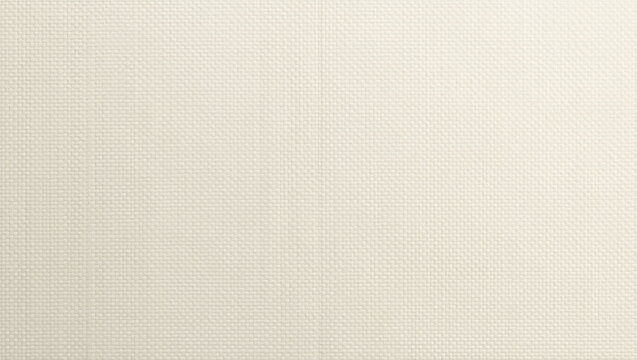 Minimalist Seamless Abaca Fabric Light and Clean Texture