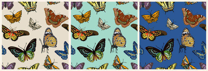 Seamless pattern with tropical butterflies. Exotic flying insects vector realistic illustration. Beautiful hand drawn butterfly wallpaper template. Decorative colorful textile, surface pattern print.