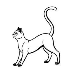 cat vector