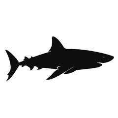 Black Shark Illustration