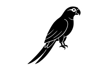 Macaw silhouette vector illustration