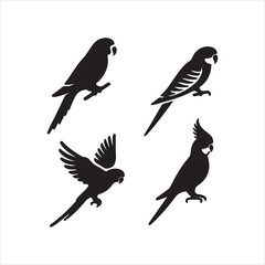 silhouettes of birds