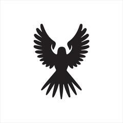 Obraz premium eagle in flight